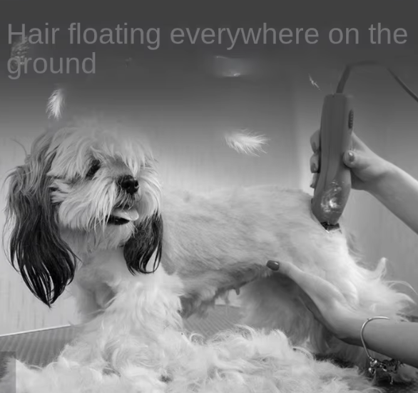 All-in-one Pet Grooming Vacuum